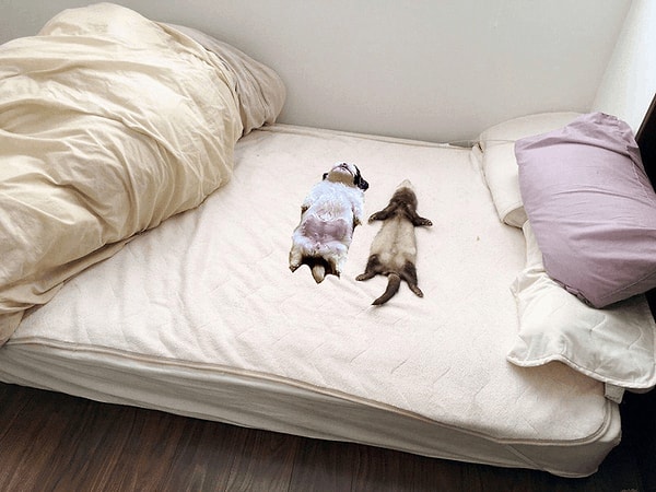 6. У него нашелся друг :)