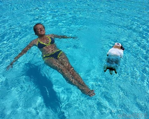 8. Время релаксации для щенка с розовым пузом