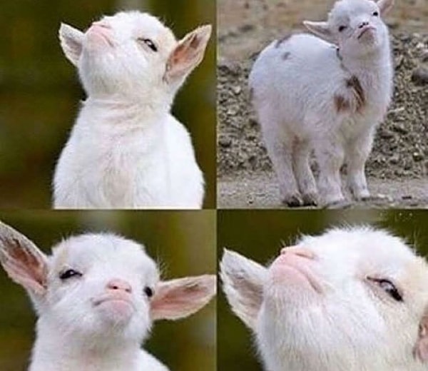 7. Как долго вы обычно обижаетесь?