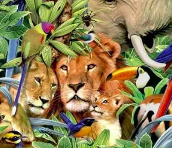 1. Если вы увидели льва: