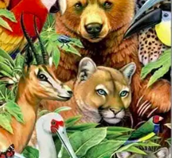 2. Если вы увидели пуму: