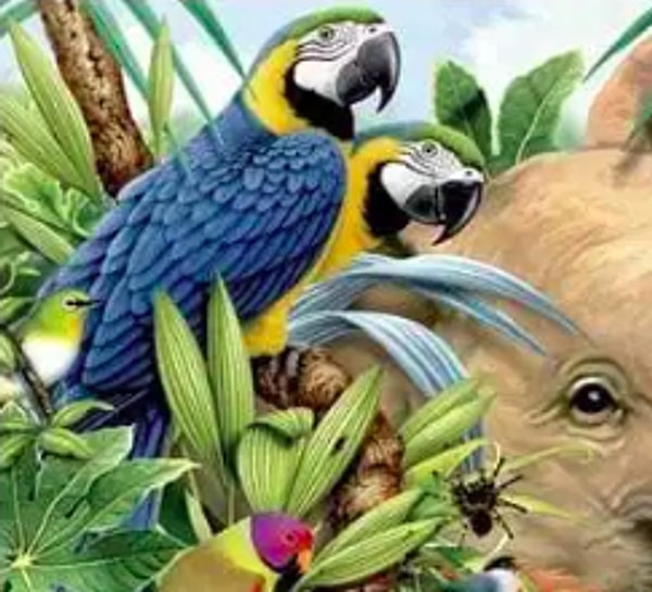 Если вы увидели синего попугая: