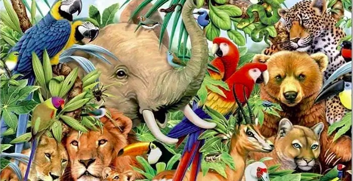 Тест: То животное, которое вы увидите первым, расскажет всю правду о вашей личности