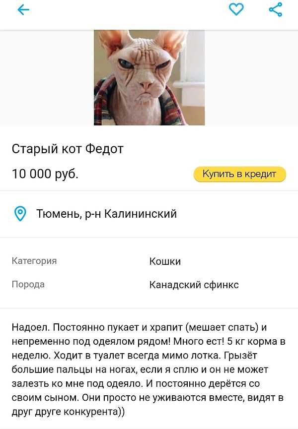 12. Бедный Федот...