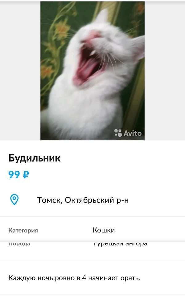 16. Для любителей вставать пораньше