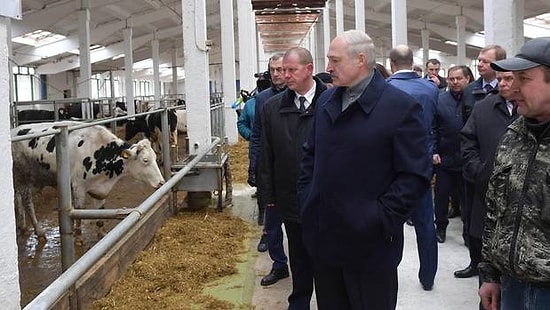 Belarus Cumhurbaşkanı Çiftlik Çalışanlarını Azarladı: 'Şu İneklere Bak B.k İçinde, Kovuldunuz'