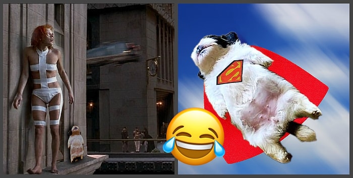 Милый щенок заснул, даже не подозревая, что станет героем баттла