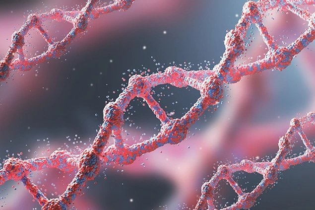 DNA temelli ölçülen biyolojik yaşın, gelecekte meme kanseri olma riskini belirleyebileceği bulundu.