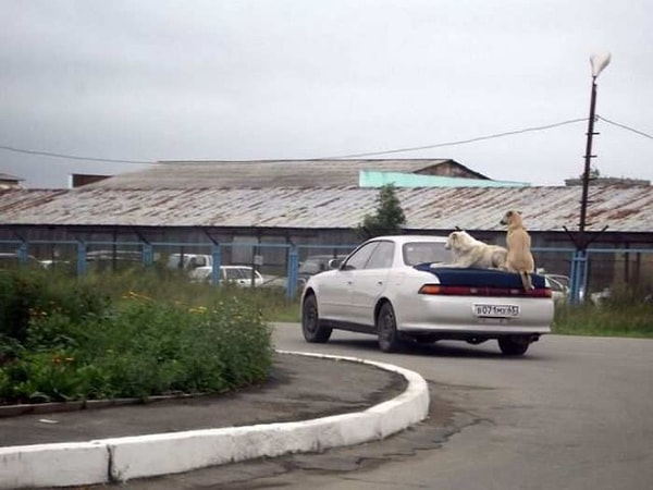 5. Автостоп ещё никому не мешал 🙂