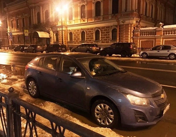 19. А что, мы в булочную на такси не ездим...