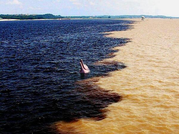 4. Это место слияния Амазонки в Риу-Негру. Все дело в разных почвах