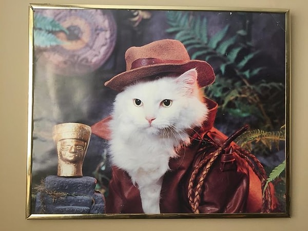 2. "Когда-то я купил эту картину на ярмарке. Теперь она висит в моей новой квартире"