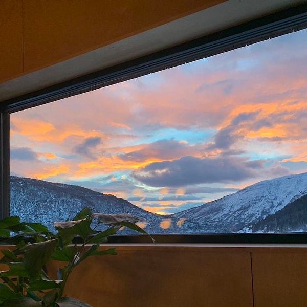 24. Прекрасный вид из окна