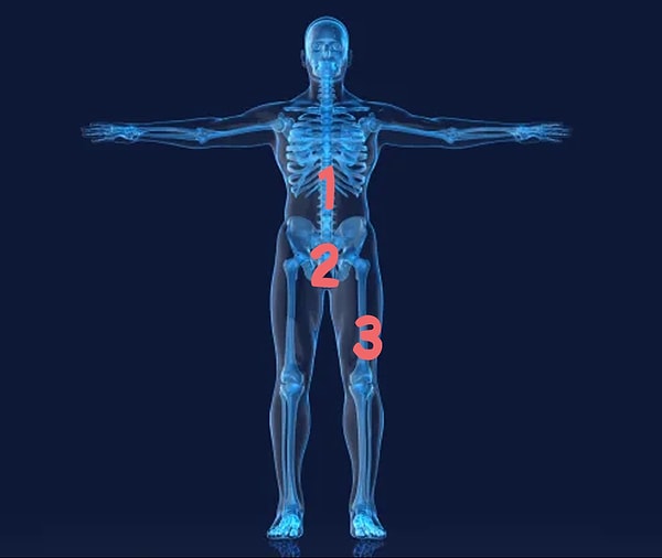 3. Что насчет бедренной кости?
