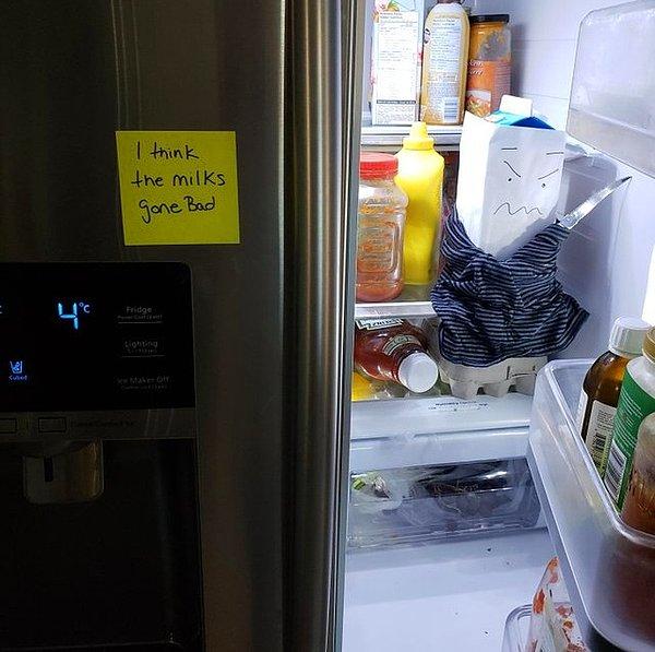 8. "Eşim buzdolabını açmam için iki gündür bekliyormuş."