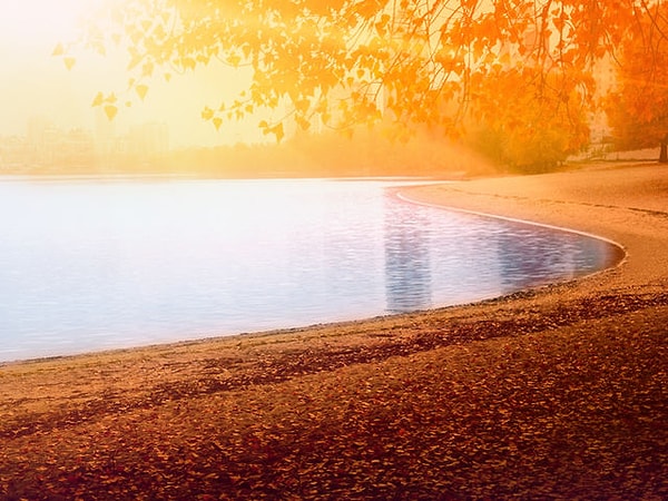 9. Ешь раз выберите один из двух цветов: