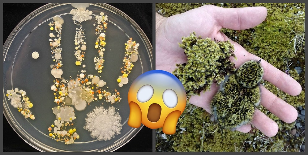 Потрясающие фото со всего мира, которые восхищают, шокируют и умиляют одновременно