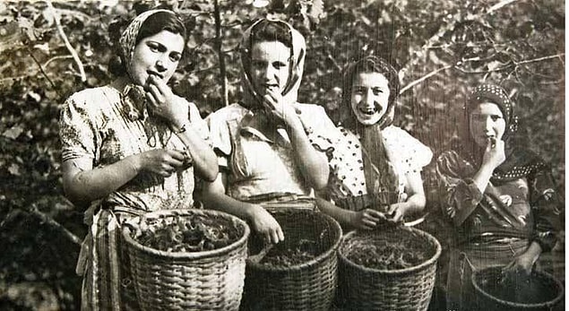 Bu fotoğrafın oldukça ilginç ve nispeten trajikomik bir hikâyesi var. Köylü kızlarının fındık toplarken çekildiği bu fotoğraf 10 Ekim 1952 yılında dolaşıma çıkan 5 liralık banknotun arka yüzüne basılıyor.