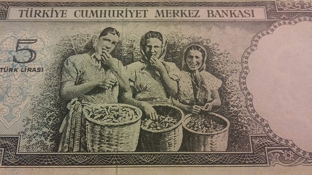 Sizce açılan bu davanın konusu ne olabilir? Hemen söyleyelim; 5 liralık banknotların piyasadan kaldırılması. Davacı ise banknotun arka yüzündeki fotoğrafta yer alan kızlardan biri...