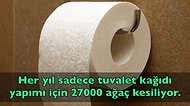 Öğrendiğiniz Andan İtibaren Size Hayatın Nasıl Bir Yalan Olduğunu Düşündürtecek 15 Çarpıcı Bilgi