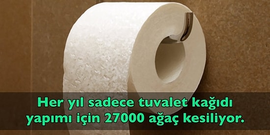 Öğrendiğiniz Andan İtibaren Size Hayatın Nasıl Bir Yalan Olduğunu Düşündürtecek 15 Çarpıcı Bilgi
