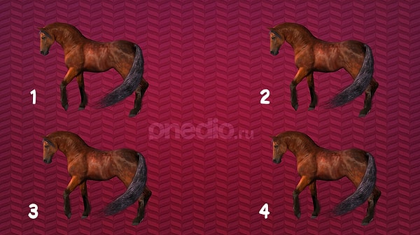 1. Итак, какая лошадь отличается от остальных?