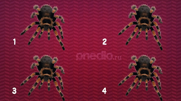 5. Вы знаете, что делать: