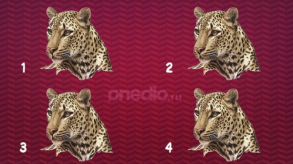 8. Увидели отличие тут?