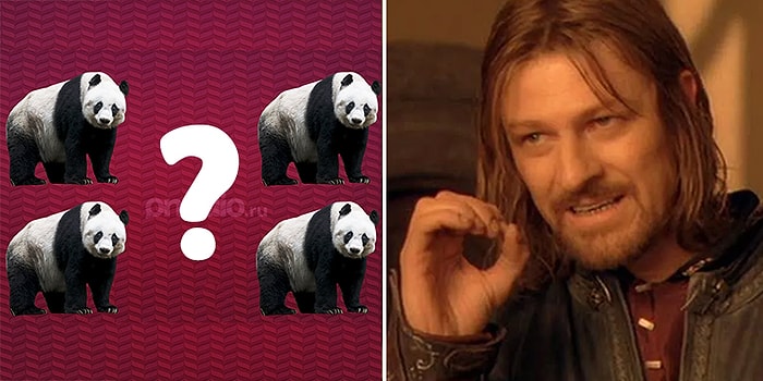 Тест на внимательность: Вас можно считать уникальным человеком, если наберете 9/10