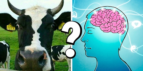 Тест с оптическими иллюзиями, который всего за минуту определит скорость вашего мышления