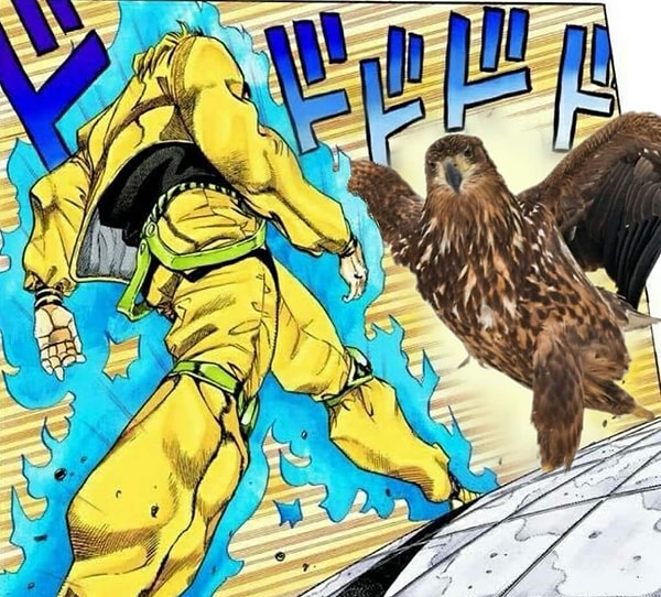 3. Смотри и учись, как нужно драться!