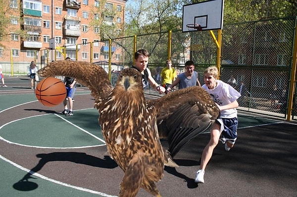 9. "Смотрите, пацаны, как выглядит настоящий баскетбол!"