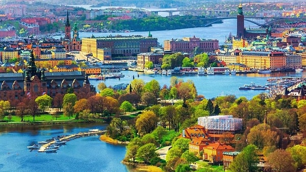 7. Шведы говорят на ...