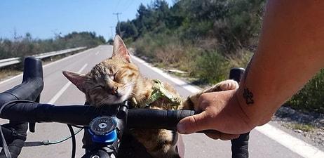 Dünya Turuna Çıktığı Sırada Karşılaştığı Kediyi Yanına Alan Bisikletlinin Kaydettiği Muhteşem Görüntüler