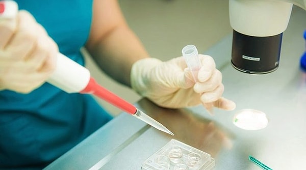 3. Сперма лишь на 2% состоит из сперматозоидов.