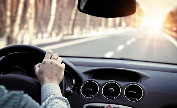 7. Водители убивают больше оленей, чем охотники.