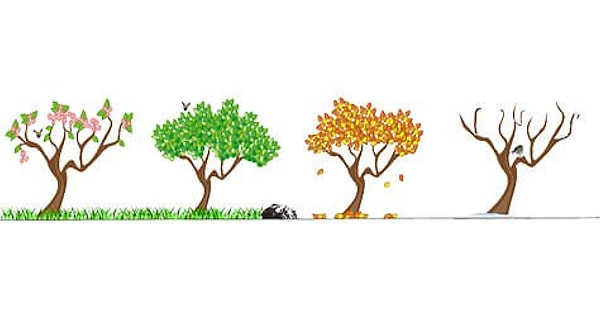 11. Ваше любимое время года: