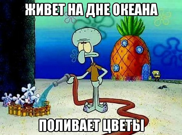 8. Сквидвард, что ты вообще творишь?