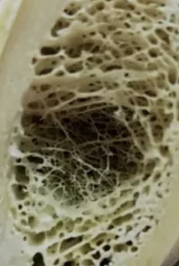 4. Итак, что перед вами?