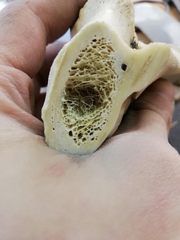 Показать правильный ответ