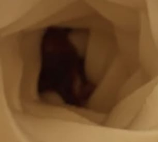 8. А внутри чего сделано это фото?