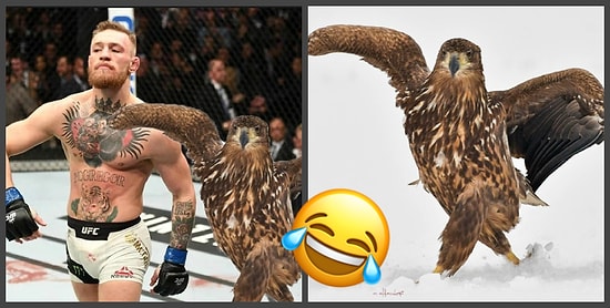 В Сети обсуждают походку этого орла: Крутые парни, а вы так умеете?