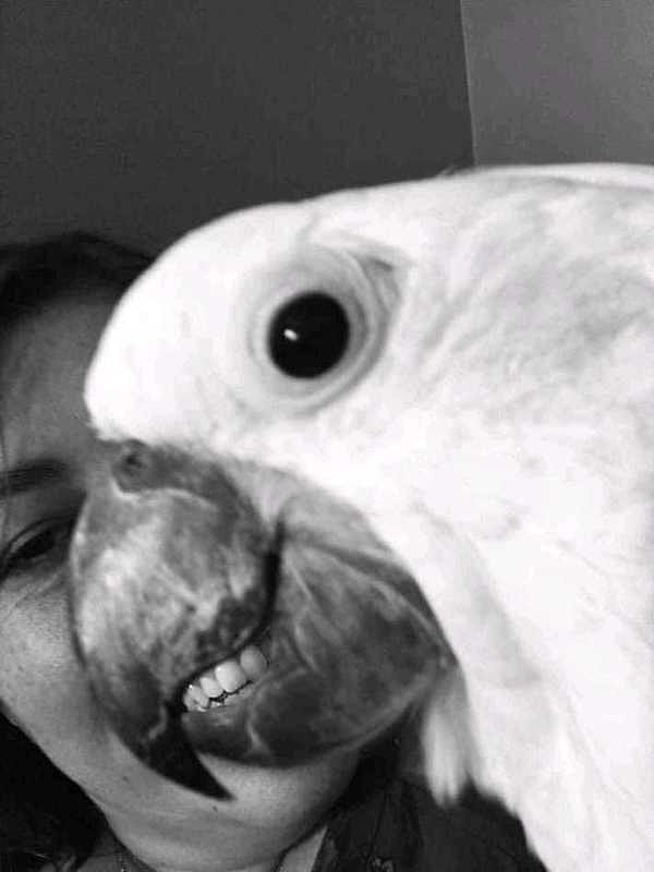 15. Вот она - сила ракурса...