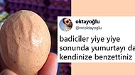 Kahkahanın Tanımını Yeniden Yaptıracak Güzellikte Son Dönemin Birbirinden Komik 15 Olayı