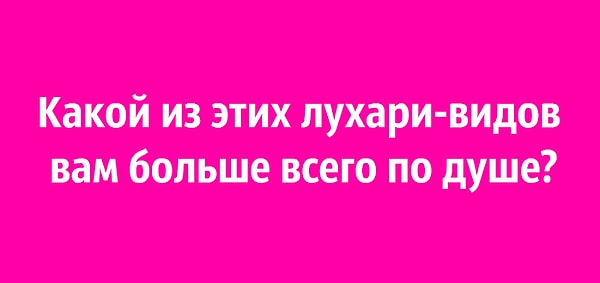 1. Какой из этих лухари-видов вам больше всего по душе?
