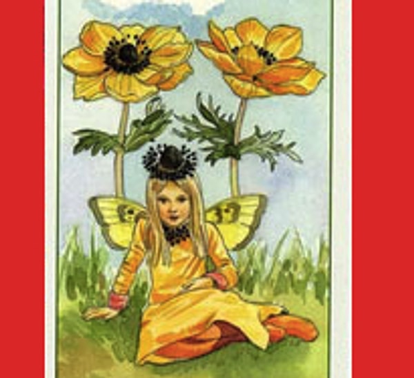 Яркие впечатления: