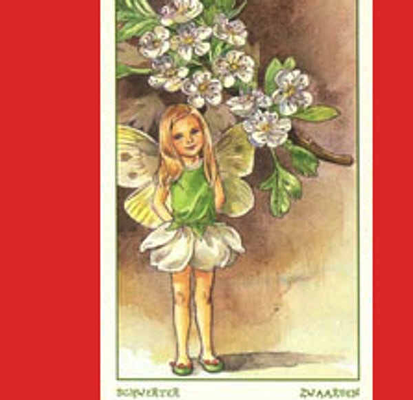 Спокойствие и стабильность: