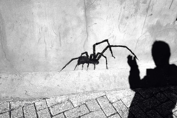 2. Боязнь чего называют гомихлофобией?