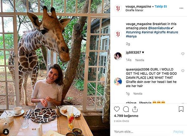 11. Giraffe Manor yani Zürafa Malikanesi, doğa ile iç içe yemek yemeyi sevenler için tasarlanmış.