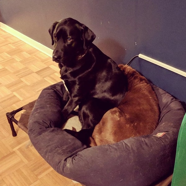 7. "Он таким образом прогоняет Мэдди, чтобы потом лечь на ее место"